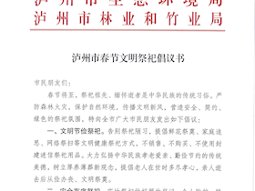 瀘州市春節(jié)文明祭祀倡議書